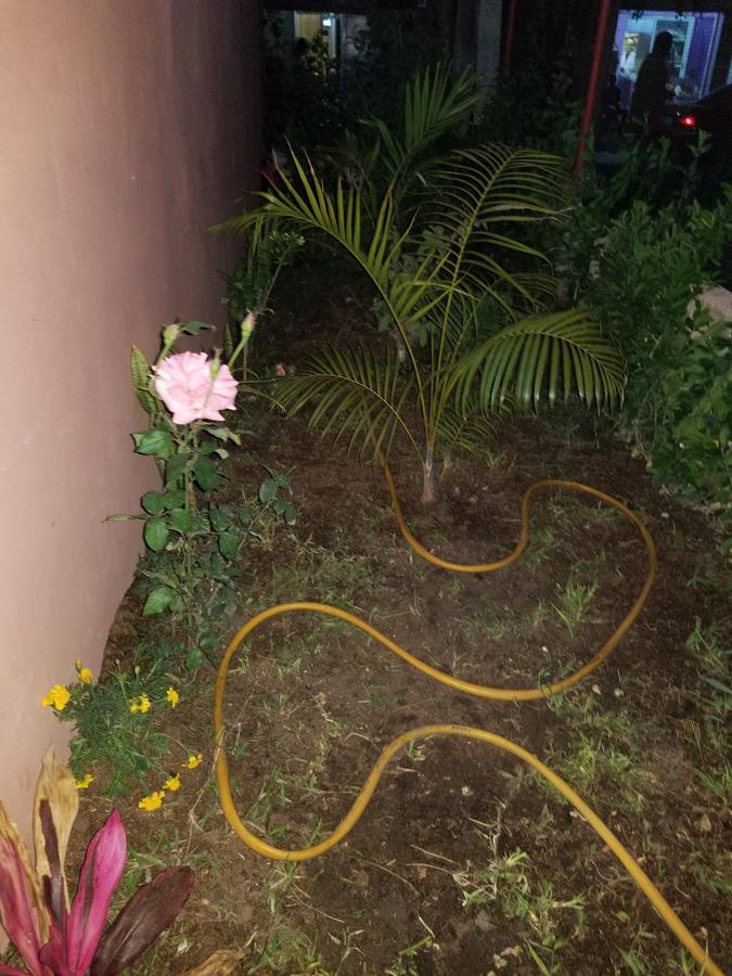 Appartement Confort Fann Hock Dakar Exterior foto